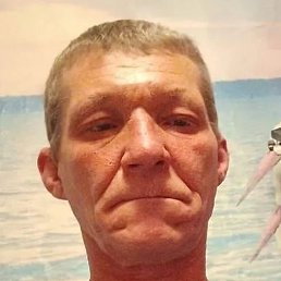 �������, ������, 54 ����