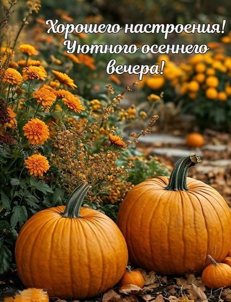   ,    . - 10  2025  15:08