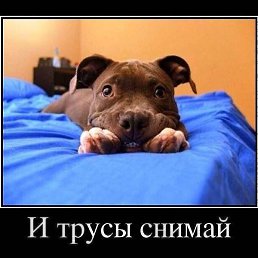 ������, ��������, 46 ���