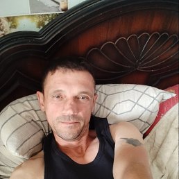 ������, 43 ����, ������������