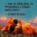 ���� �����, ������ - ��������� 10 ���� 2026 � ������ ������Ż