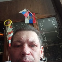  , 41 , 