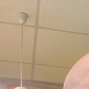 ����, 40 ���, ����