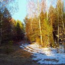 ���� �����, �������, 54 ���� - ��������� 14 ������ 2026 � ������ ������ ��������