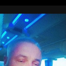 , 46 , 