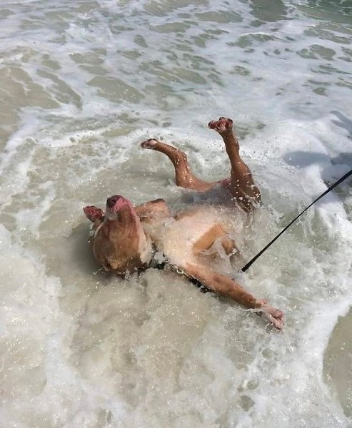 я: приеду на море, буду балдеть и кайфовать.я на море: