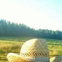 ���� �����, ������, 27 ��� - ��������� 23 ���� 2025 � ������ ���� ����������