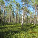  , , 60  -  24  2025          3 