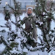 �������, 66 ���, �����-���������