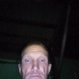 , 46 , 