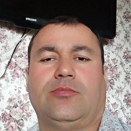 �����, ������, 43 ����