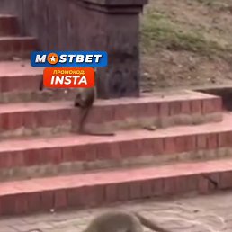 ���� ����, �������, 38 ��� - ��������� 12 ������ 2023