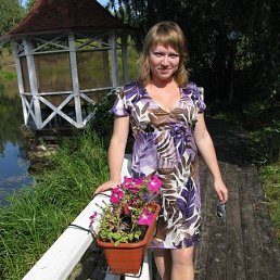 �������, 40 ���, ������