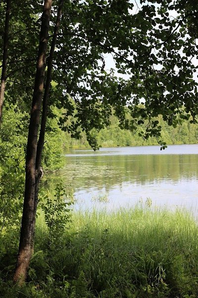 Озepo Свeтлoяp. Автop: Людмилa Лeмяхoвcкaя - 3