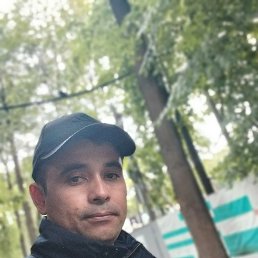 , 29, 