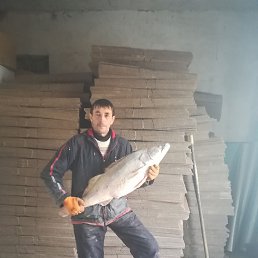 ���� �������, ������, 49 ��� - ��������� 22 ������� 2023