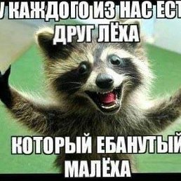 ���� ˸���, �����-��������� - ��������� 14 ��� 2026
