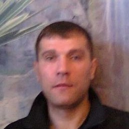 ������, ����, 46 ���