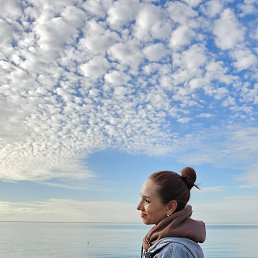 �������, 38 ���, ���������