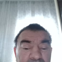 , 55 , 