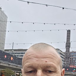 ����, 59 ���, ���������