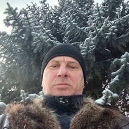 ����, 49 ���, ���������