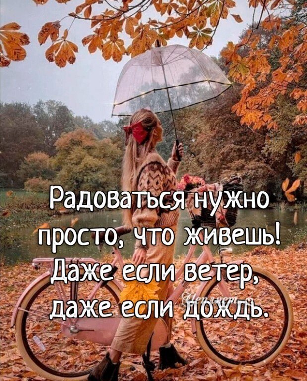  - 22  2024  14:15
