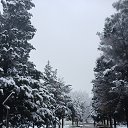 ���� �������, �������, 44 ���� - ��������� 27 ����� 2026 � ������ ���� ����������