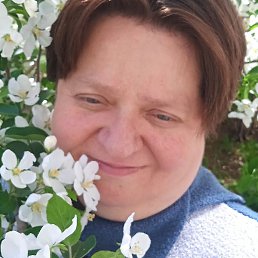 �������, ������ ��������, 47 ���