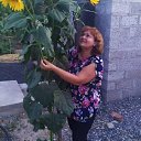 ���� ������, �������, 62 ���� - ��������� 6 ������� 2026