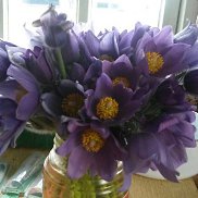 E����, 43 ����, �����-���������