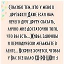 ���� ����, ������, 49 ��� - ��������� 23 ����� 2026 � ������ ������ ��������