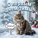 ���� ���������, �������� - ��������� 1 ������� 2025