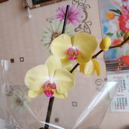 ���� ������, ������, 69 ��� - ��������� 27 ����� 2026