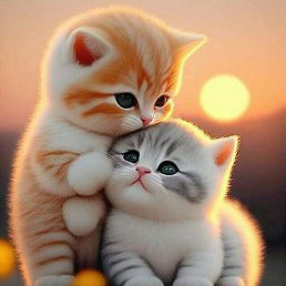 ���, ������, 32 ����