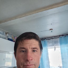 ��������, 42 ����, �������