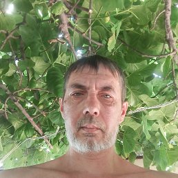 �������, 46 ���, ������