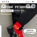 ���� �����, �����������, 44 ���� - ��������� 25 ������� 2024