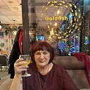 ���� ��������, �������, 70 ��� - ��������� 6 ������ 2026 � ������ ���� ����������