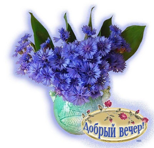   ,    . - 22  2024  18:08 - 5