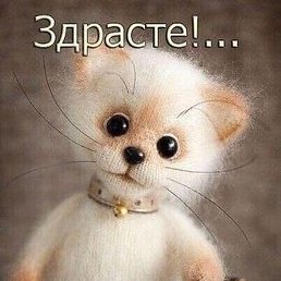 ��������, �����, 66 ���