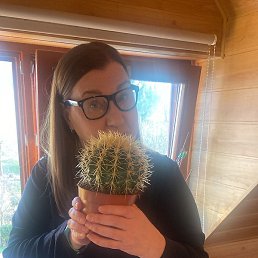 ����� ����������, �������, 62 ����