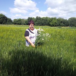 ������, �����, 54 ����