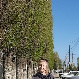 ���� �������, �������, 50 ��� - ��������� 30 ���� 2026