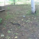 ���� ���������, ���, 32 ���� - ��������� 24 ������� 2025 � ������ ���� ����������