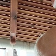 �����, 63 ����, ������