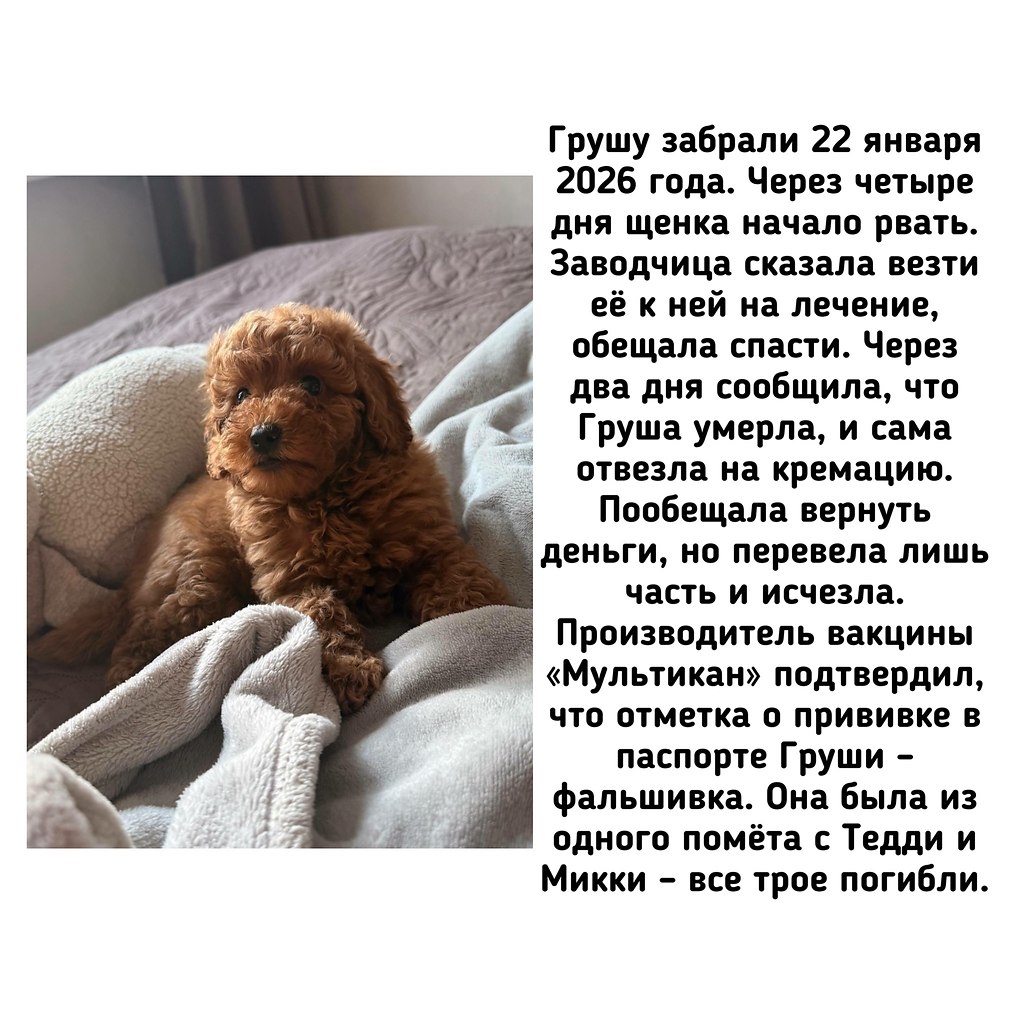 �� - ������������ ������ ������������ �� �������� ��������� (��������) �� ������ ����� (���������� ... - 9