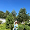 ���� C�������, ���������� - ��������� 1 ������� 2025 � ������ ���� ����������