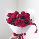 ���� �������, ������, 48 ��� - ��������� 27 ������� 2023