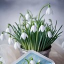 ���� ��nya, ������ - ��������� 8 ������� 2026 � ������ ���� ����������
